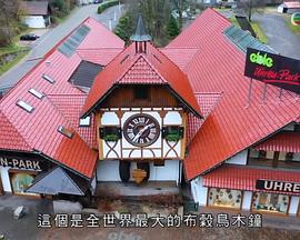 驾到去欧洲封面图